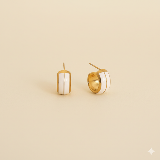 ERYA EARNINGS