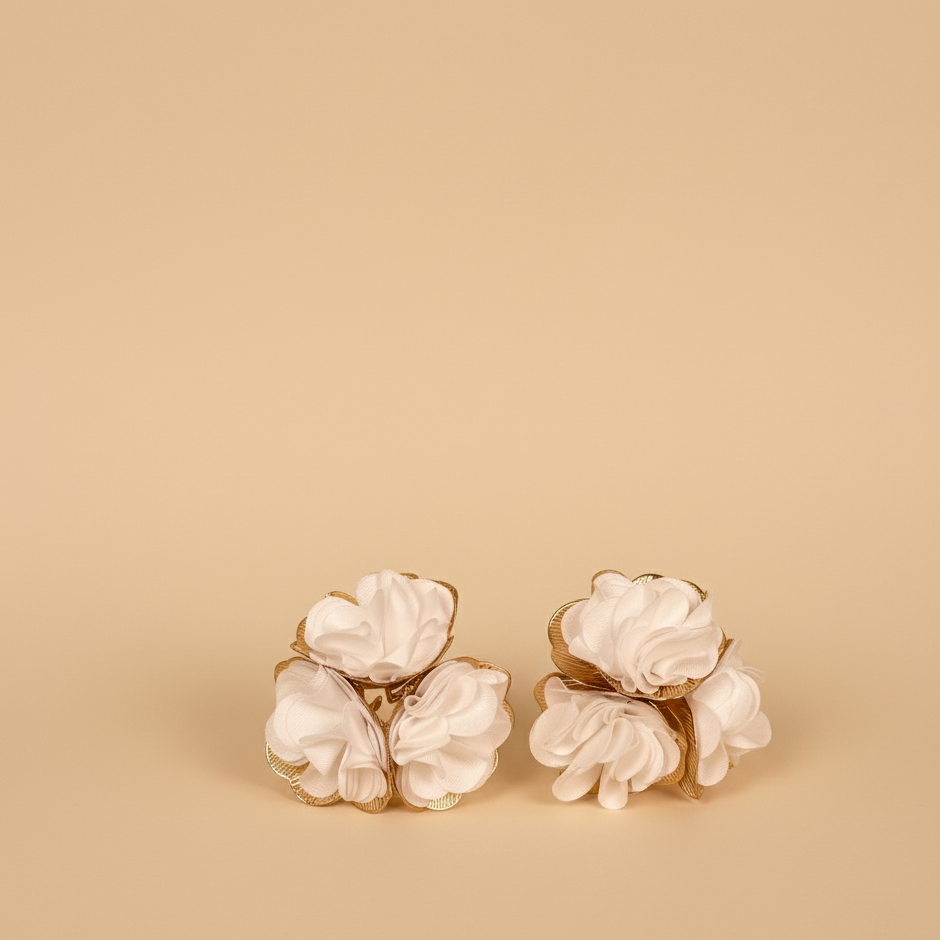 CAELIA EARNINGS