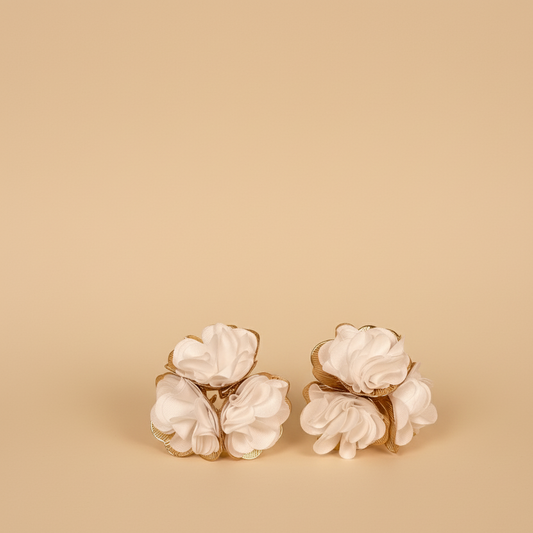 CAELIA EARNINGS