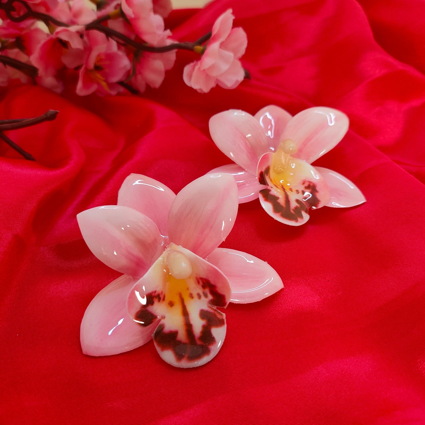 LUNORA EARNINGS