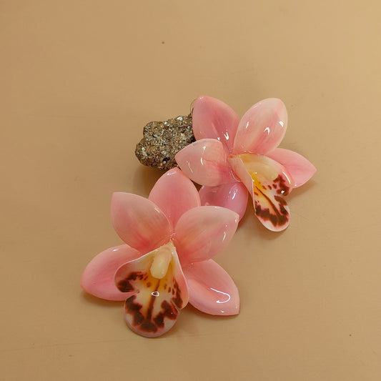 LUNORA EARNINGS