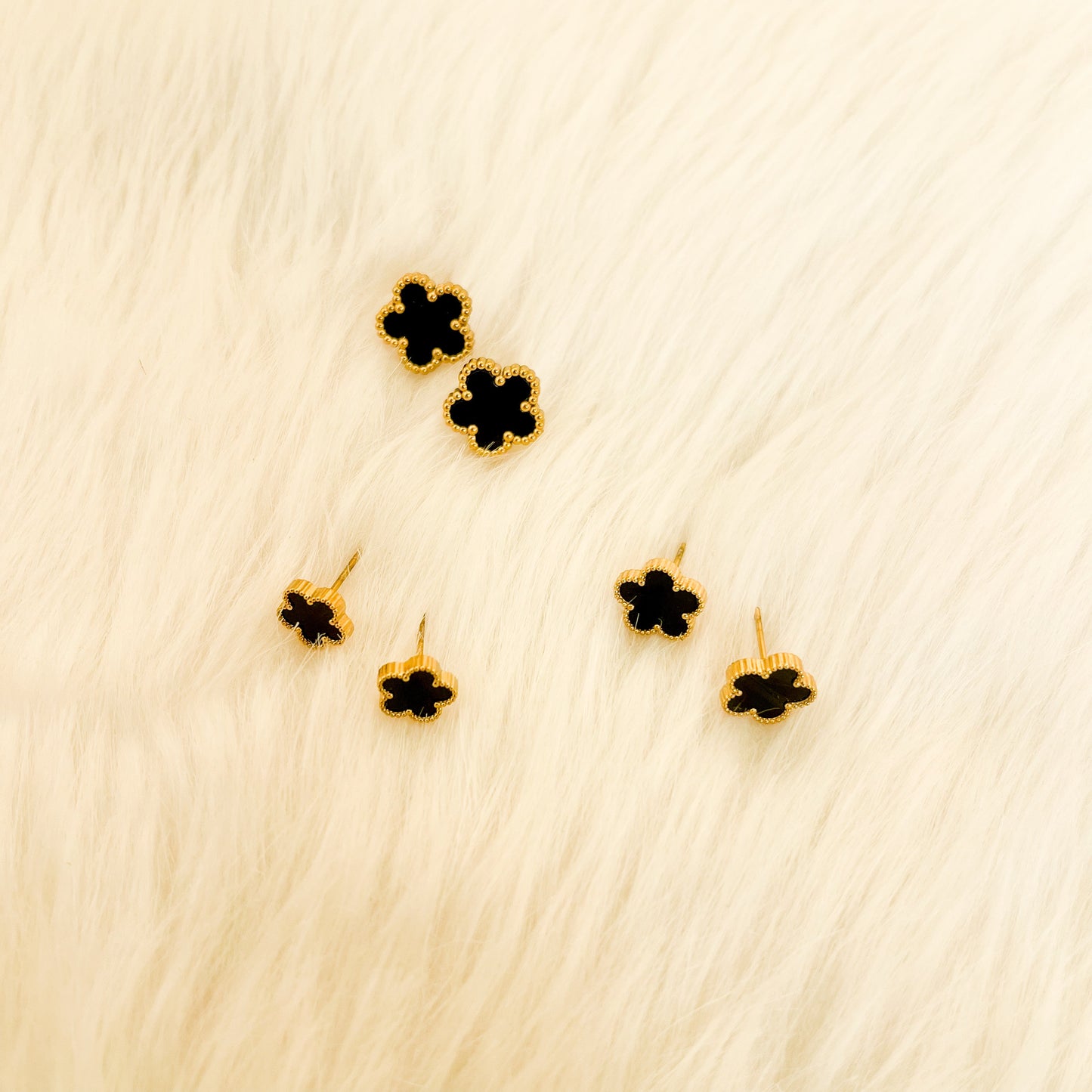 HAYOON EARNINGS