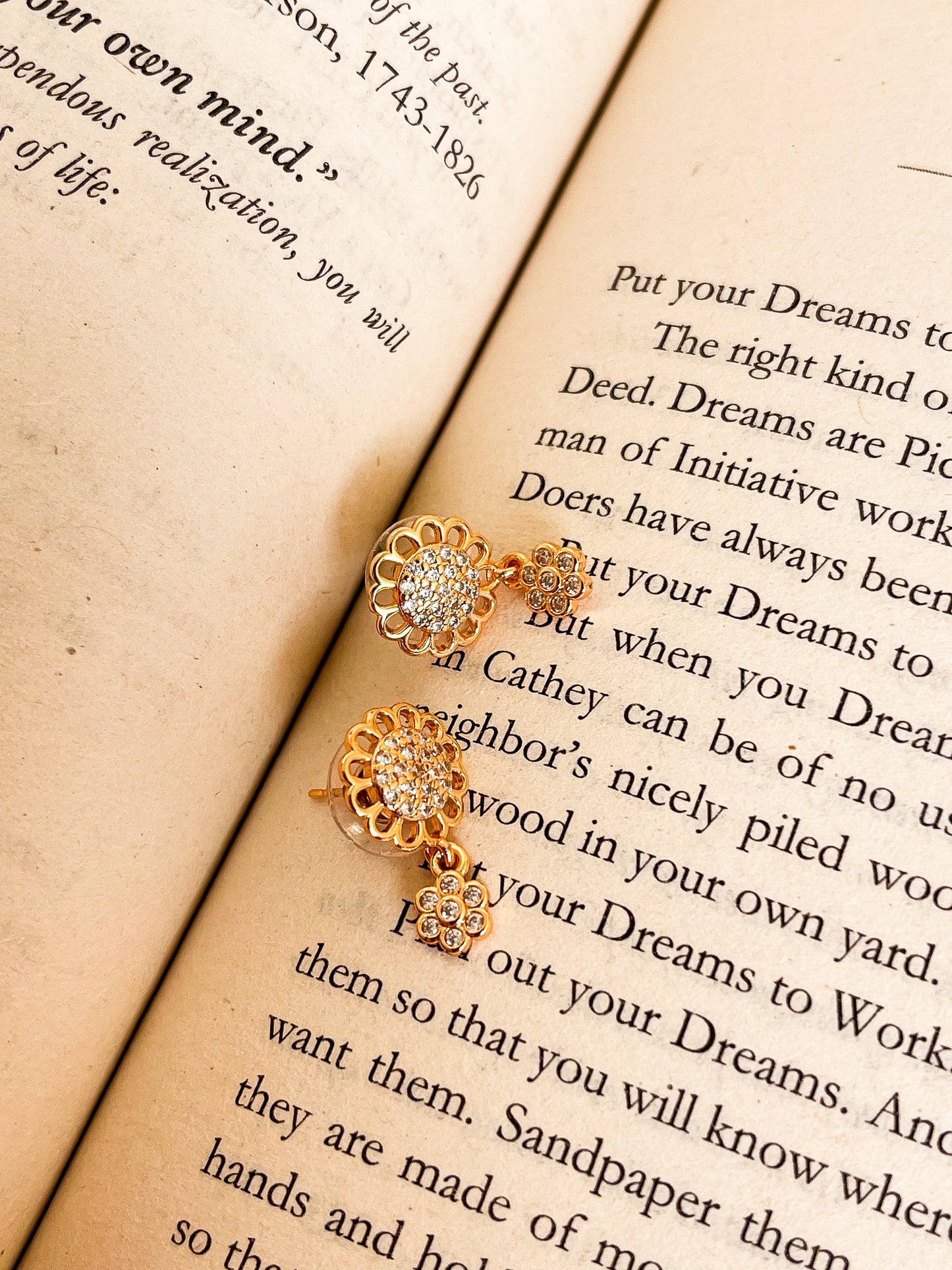 ARDEN EARNINGS